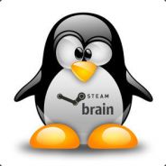bra1n @ vac banned
