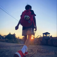 偏我来时不逢春