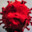 JuJu avatar