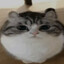 gfughh