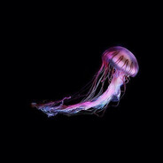 𓆩Lilly𓆪⁣𓆩Stein𓆪