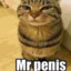 Mr. Penis