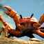 Crab Man