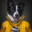 DoggyMeister