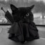Demonic_Samurai