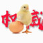 无敌的坤坤