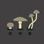 Magic Mushroom