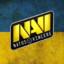 NaVi