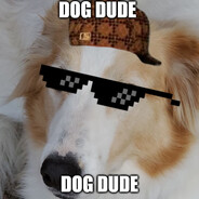Dog Dude avatar