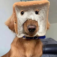 室友的屁股可以螺旋开瓶盖因为我戴的螺纹