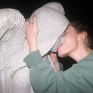 住在凤梨屋的表表