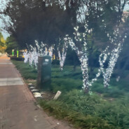 披金成王-伴坤远航