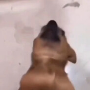 广东最后的深情