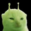 nisse