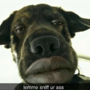 dawg
