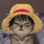 I AM MONKEY D. LUFFY