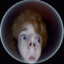 Falga