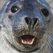 長洲賓客人數多