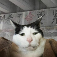 食品安全局局长