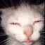 jouno_PK