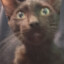 LordCat97
