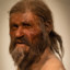 Otzi the Iceman