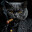 Budster024