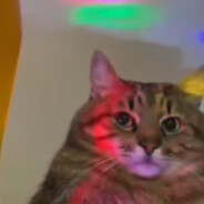 ρเℓя๏