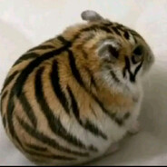 Дональд Трап