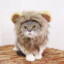 thatCAT