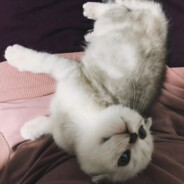 在最爱的夏天大展拳脚