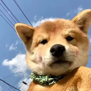 他们朝我扔粑粑