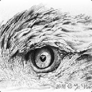 ([F.P.S]) Mugiwara boy