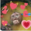 MACAQUINHO