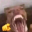 zDrako:v