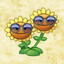 Twin Sunflower