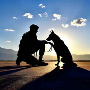 осьминария