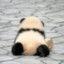 你们小区有狗吗