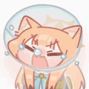 橙猫猫就知道哭