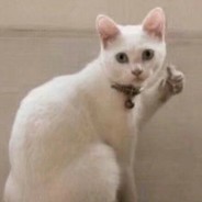 乐山大佛赐予我视野