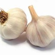 garlic