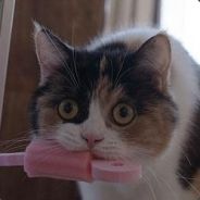 骠骑校尉曹孟德★★★