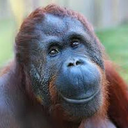 ты моя суччччка - steam id 76561199119849838