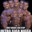 Giga Nigga avatar