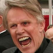 Gary Busey