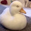 Mr Tyquavious Ducksworth