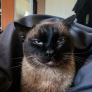 Buster Scruggs