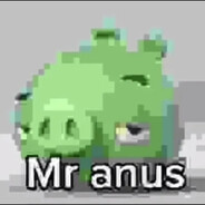Mr anus