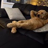 跟人猜拳，我左手輸了，我右手贏了