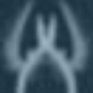 电脑玩家嗨来早